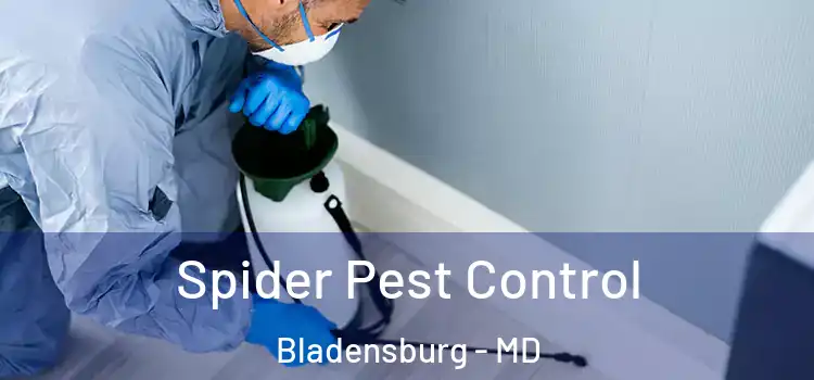  Spider Pest Control Bladensburg - MD
