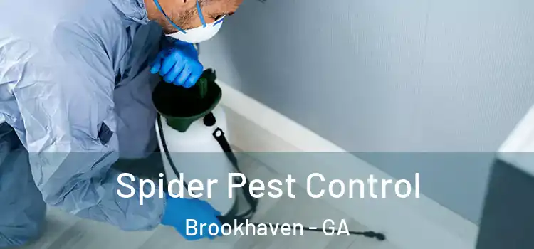 Spider Pest Control Brookhaven - GA