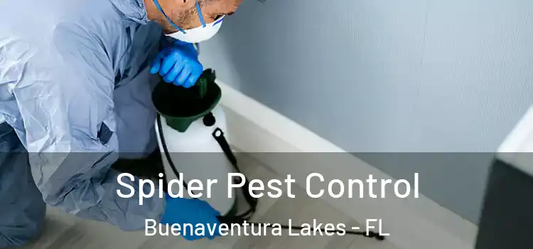  Spider Pest Control Buenaventura Lakes - FL