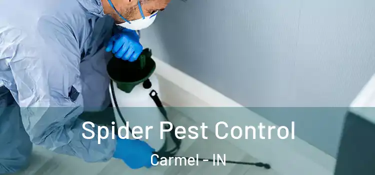  Spider Pest Control Carmel - IN
