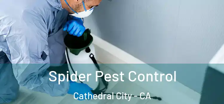  Spider Pest Control Cathedral City - CA