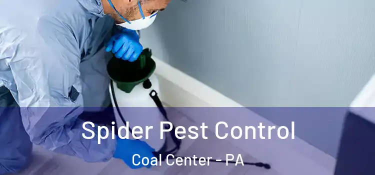  Spider Pest Control Coal Center - PA