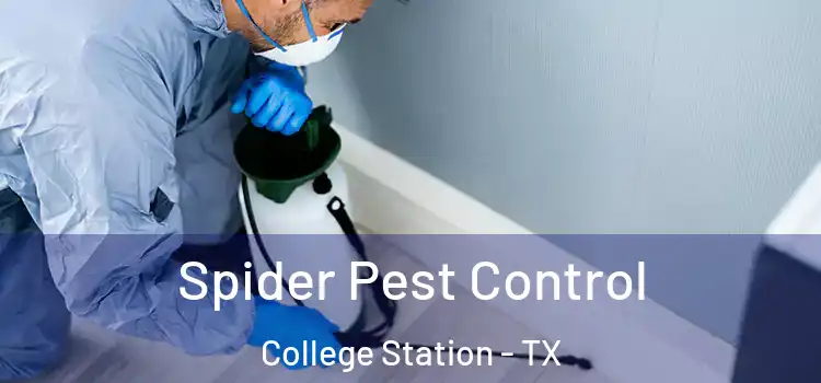  Spider Pest Control College Station - TX