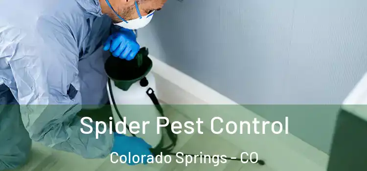  Spider Pest Control Colorado Springs - CO