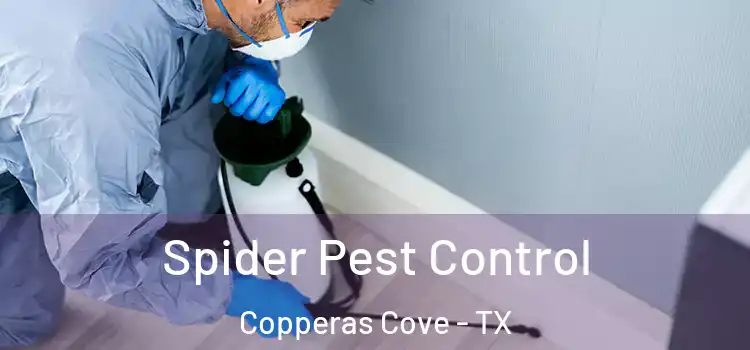  Spider Pest Control Copperas Cove - TX