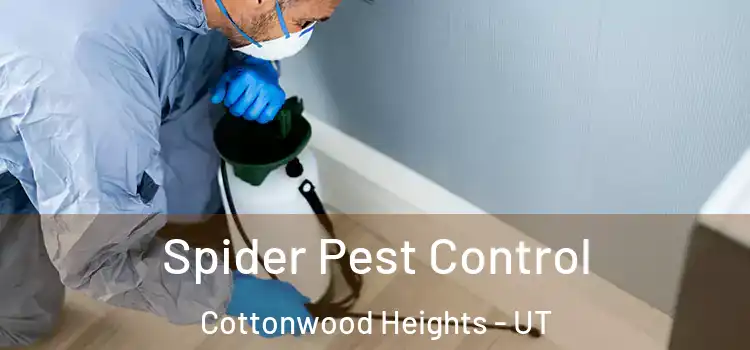  Spider Pest Control Cottonwood Heights - UT