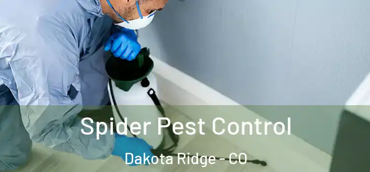 Spider Pest Control Dakota Ridge - CO