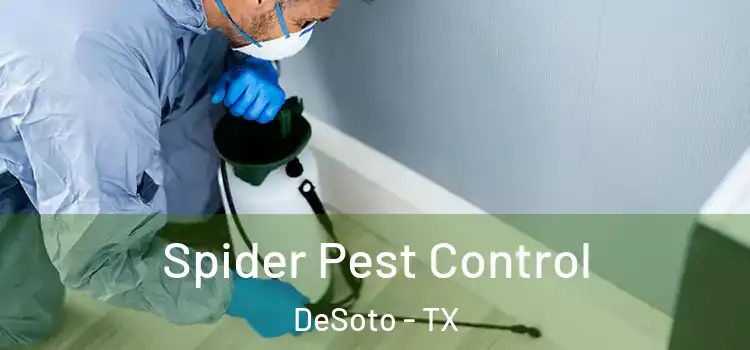  Spider Pest Control DeSoto - TX