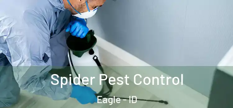  Spider Pest Control Eagle - ID