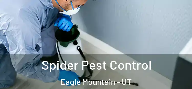  Spider Pest Control Eagle Mountain - UT