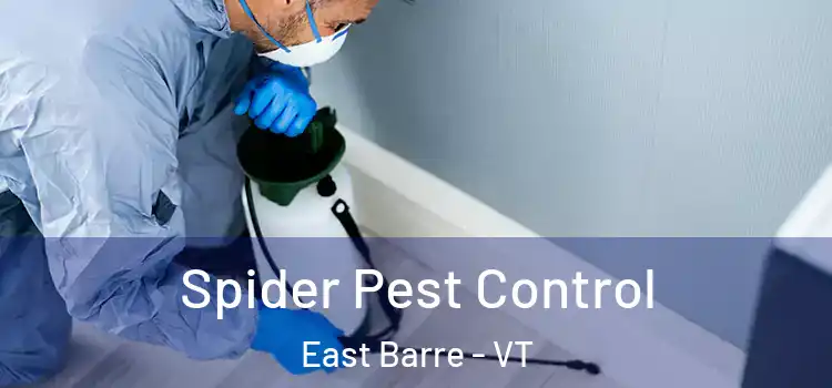 Spider Pest Control East Barre - VT