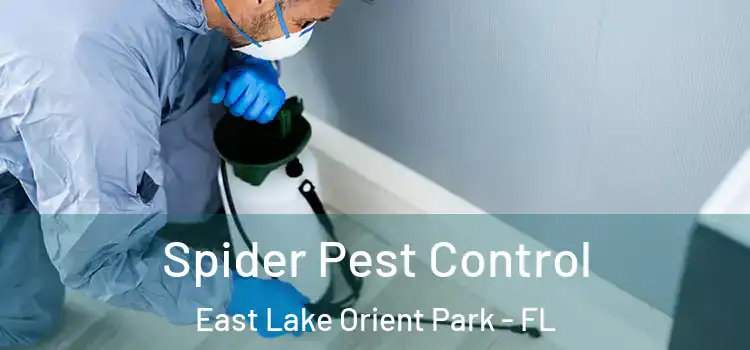  Spider Pest Control East Lake Orient Park - FL
