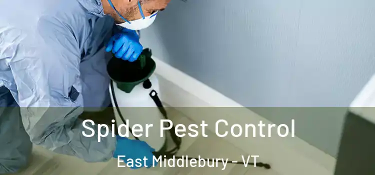  Spider Pest Control East Middlebury - VT