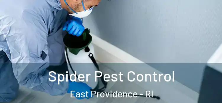 Spider Pest Control East Providence - RI