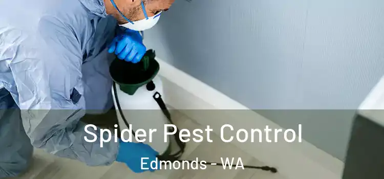  Spider Pest Control Edmonds - WA