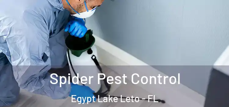  Spider Pest Control Egypt Lake Leto - FL