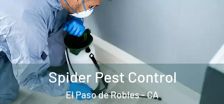  Spider Pest Control El Paso de Robles - CA