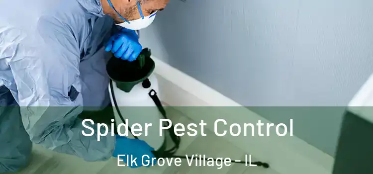 Spider Pest Control Elk Grove Village - IL
