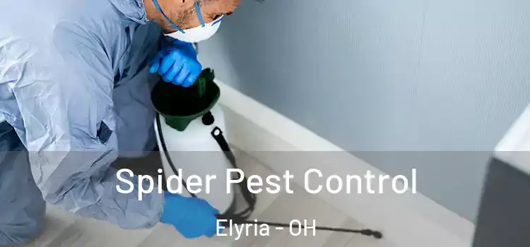 Spider Pest Control Elyria - OH