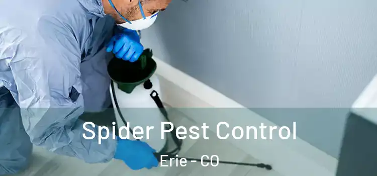  Spider Pest Control Erie - CO