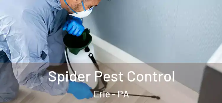  Spider Pest Control Erie - PA