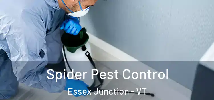  Spider Pest Control Essex Junction - VT
