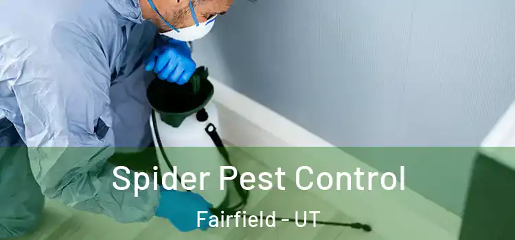  Spider Pest Control Fairfield - UT