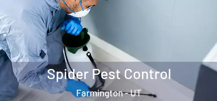  Spider Pest Control Farmington - UT