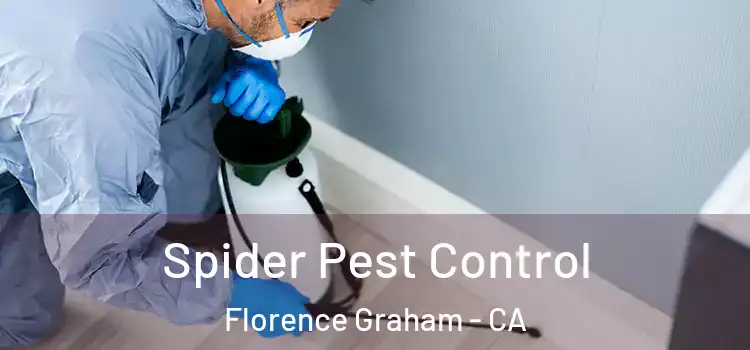  Spider Pest Control Florence Graham - CA