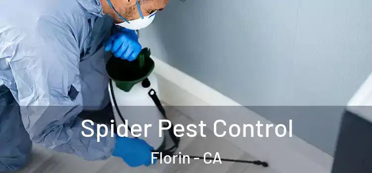  Spider Pest Control Florin - CA