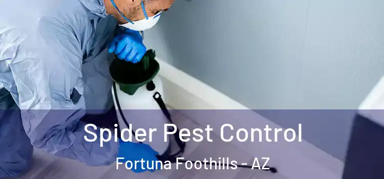  Spider Pest Control Fortuna Foothills - AZ