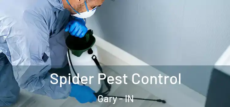  Spider Pest Control Gary - IN