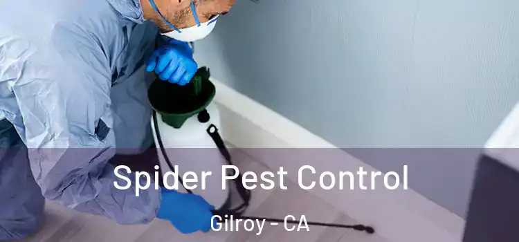  Spider Pest Control Gilroy - CA