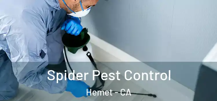 Spider Pest Control Hemet - CA