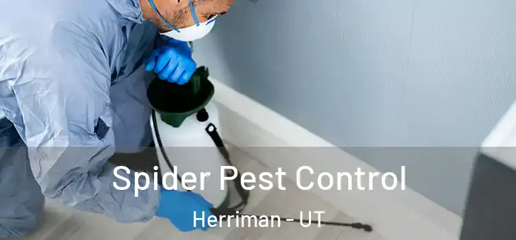  Spider Pest Control Herriman - UT