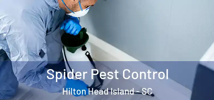  Spider Pest Control Hilton Head Island - SC