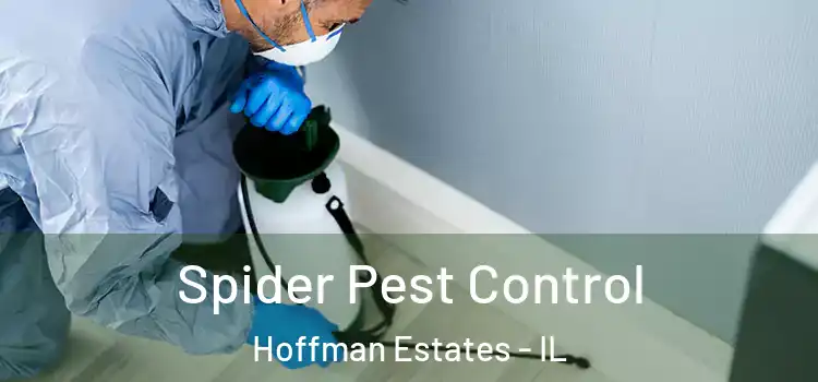  Spider Pest Control Hoffman Estates - IL