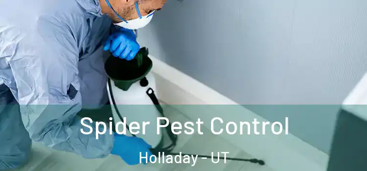  Spider Pest Control Holladay - UT