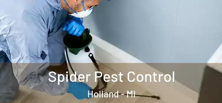 Spider Pest Control Holland - MI