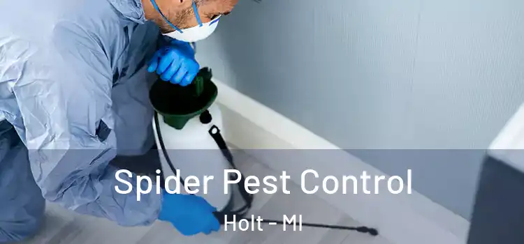 Spider Pest Control Holt - MI