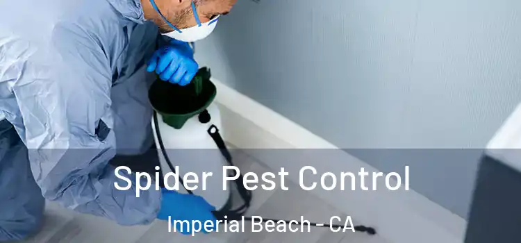  Spider Pest Control Imperial Beach - CA