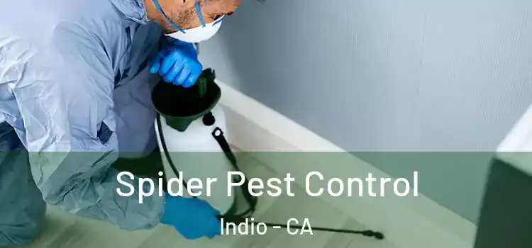 Spider Pest Control Indio - CA