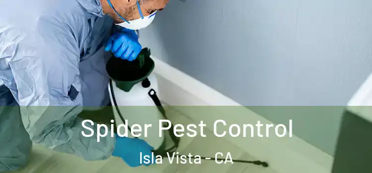  Spider Pest Control Isla Vista - CA