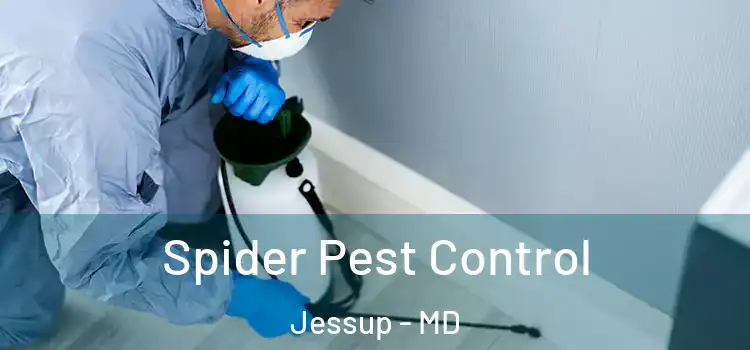 Spider Pest Control Jessup - MD