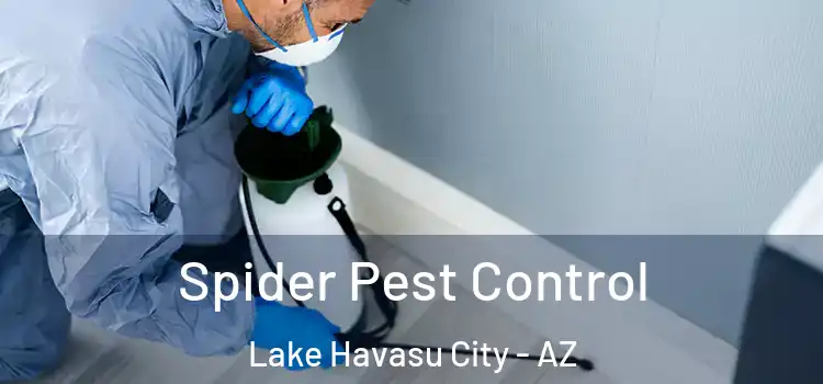  Spider Pest Control Lake Havasu City - AZ