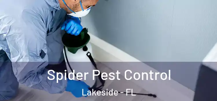Spider Pest Control Lakeside - FL