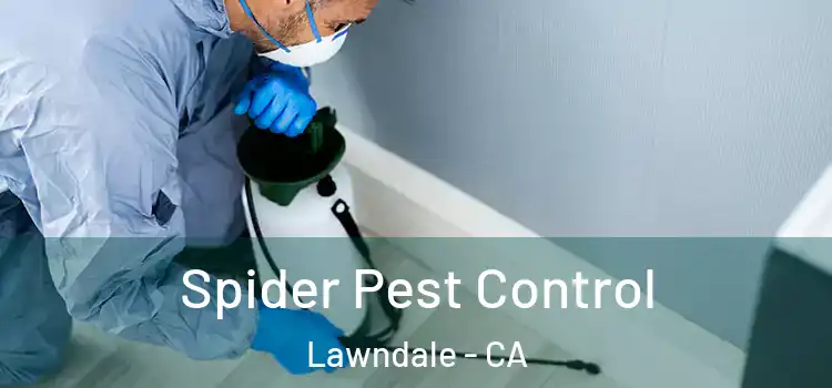 Spider Pest Control Lawndale - CA