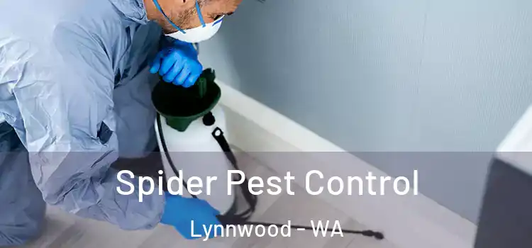  Spider Pest Control Lynnwood - WA