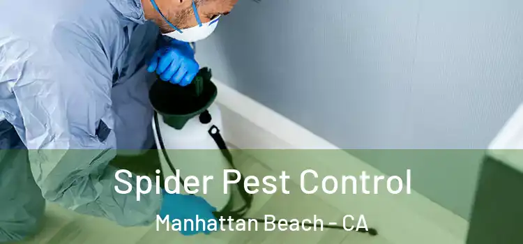  Spider Pest Control Manhattan Beach - CA