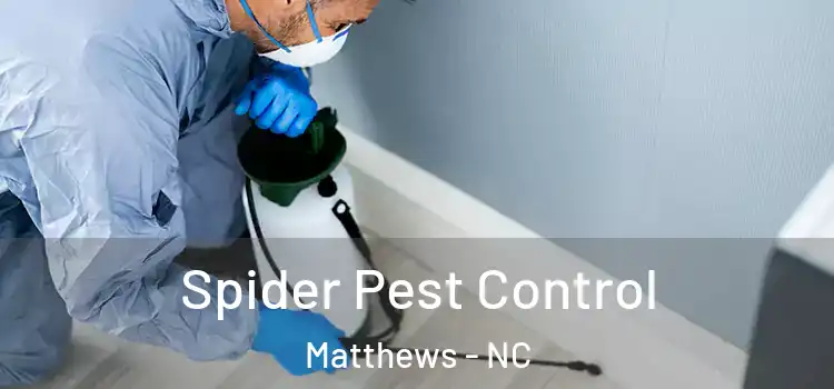 Spider Pest Control Matthews - NC
